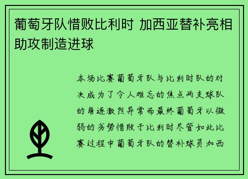 葡萄牙队惜败比利时 加西亚替补亮相助攻制造进球