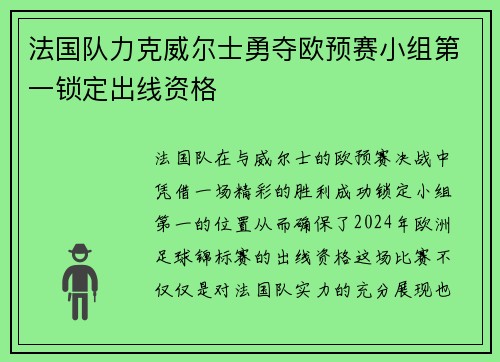 法国队力克威尔士勇夺欧预赛小组第一锁定出线资格