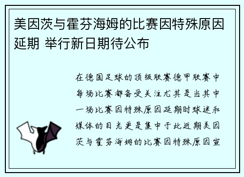 美因茨与霍芬海姆的比赛因特殊原因延期 举行新日期待公布